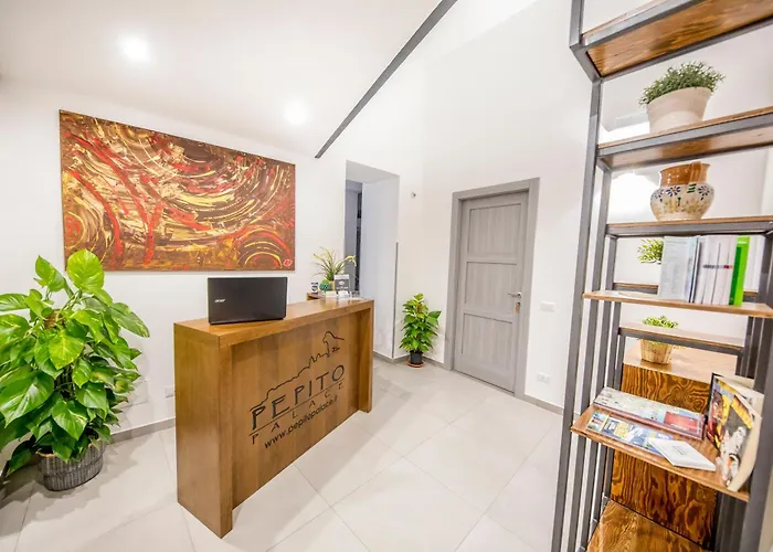 Pepito Palace 住宿加早餐酒店 切法卢